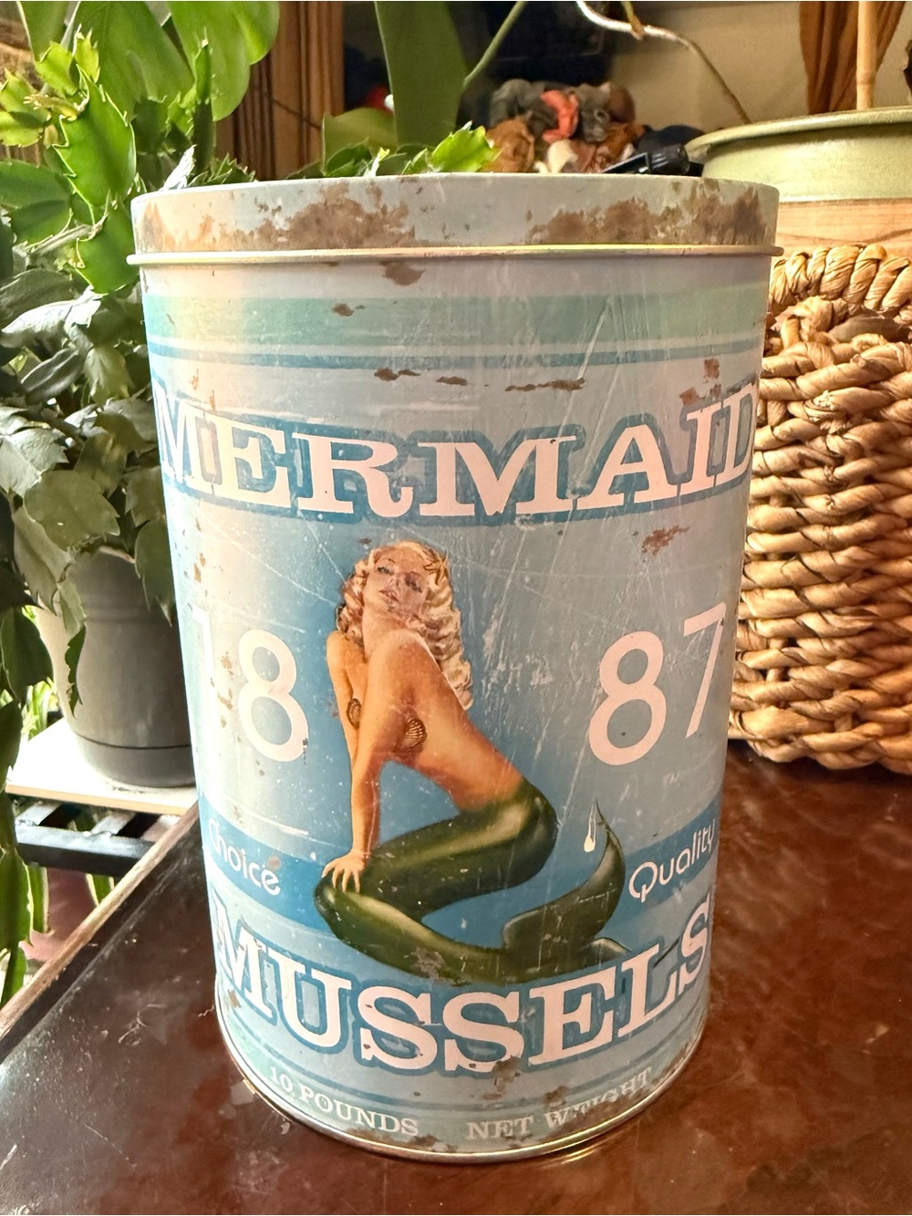 A vintage-style "Mermaid Mussels" decorative container tin